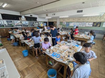 防護メガネをして、慎重に原石を割っていきます。